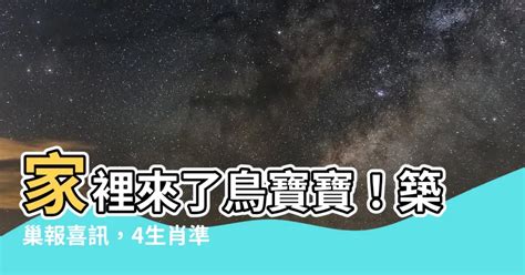 鳥來家裡築巢 風水|【鳥來築巢 風水】鳥來築巢の風水好兆頭！這4生肖準。